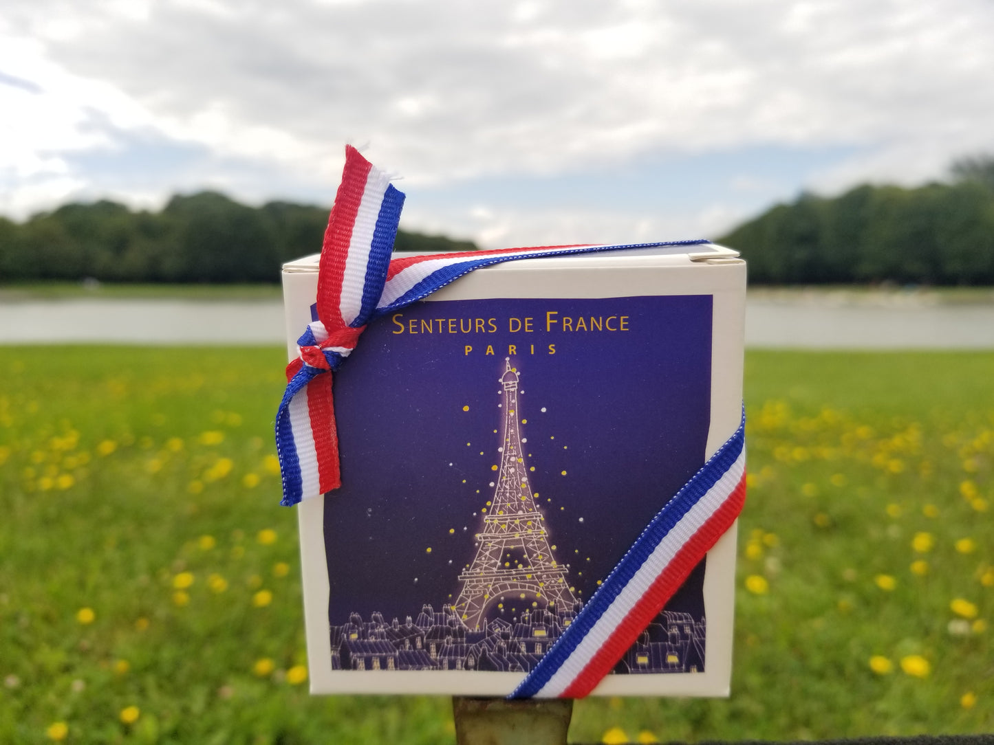 Eiffel Tower Amber Scented Soap-3.52oz
