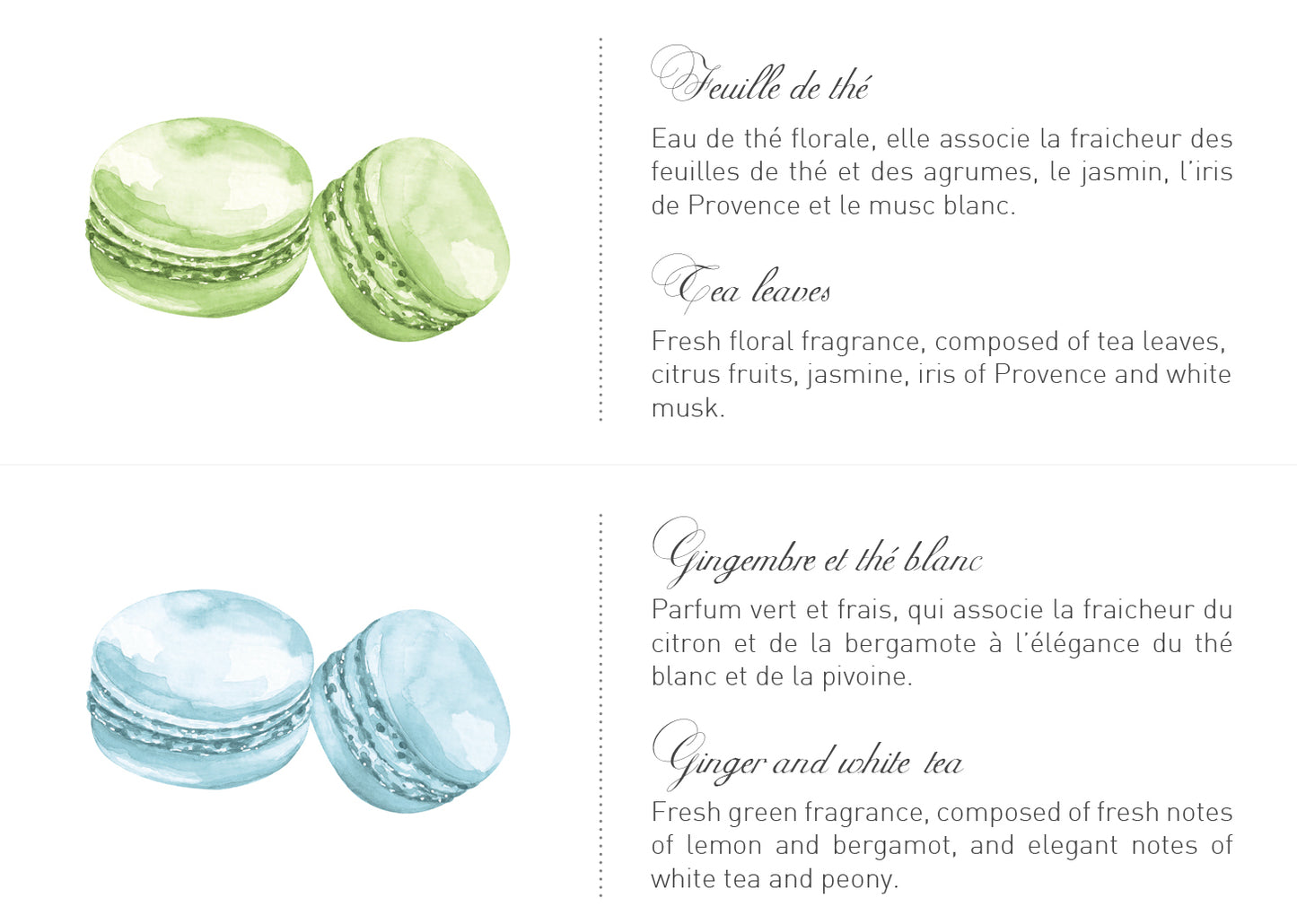 Chic Turquoise Box of 2 Macaron Soaps