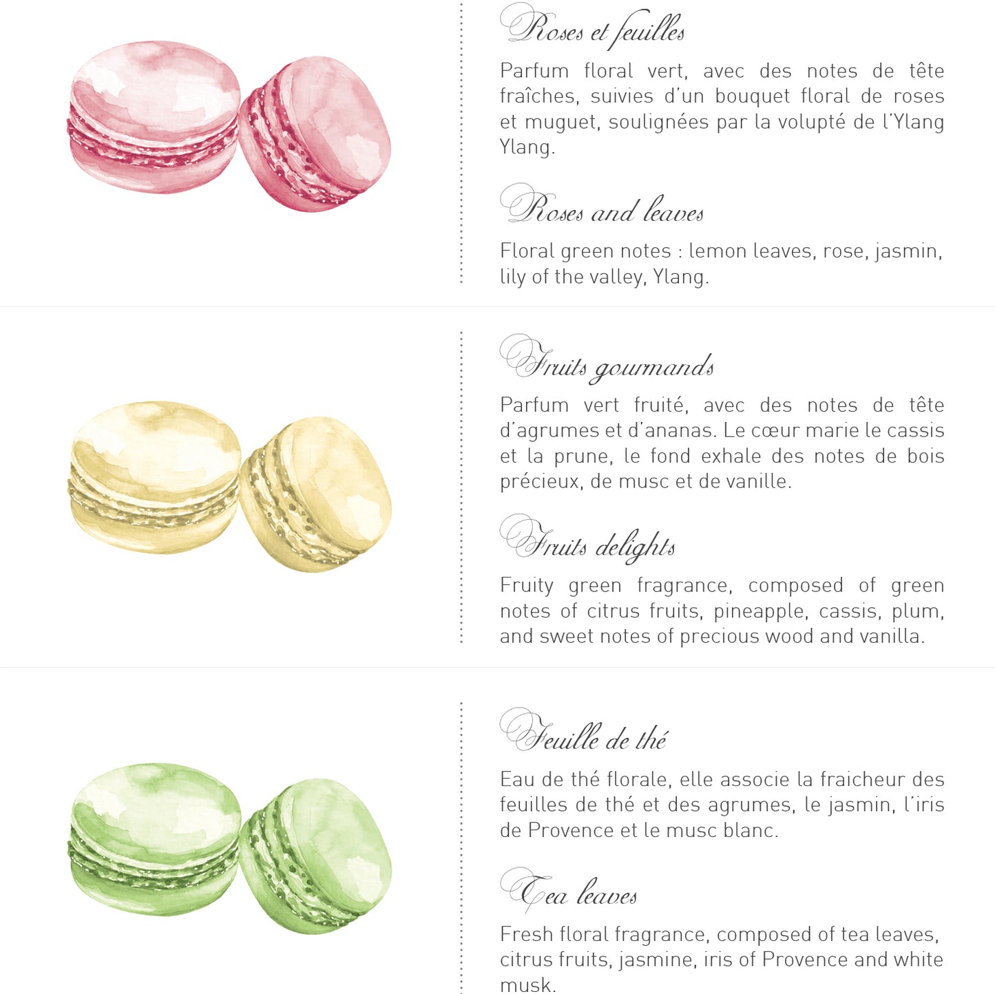 Chic Turquoise Box of 6 Macarons